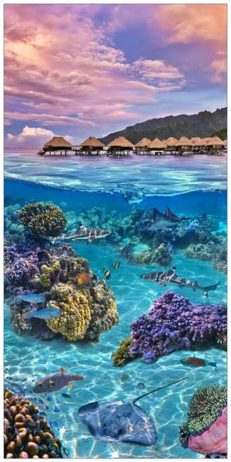 1st Place - Panorama Print